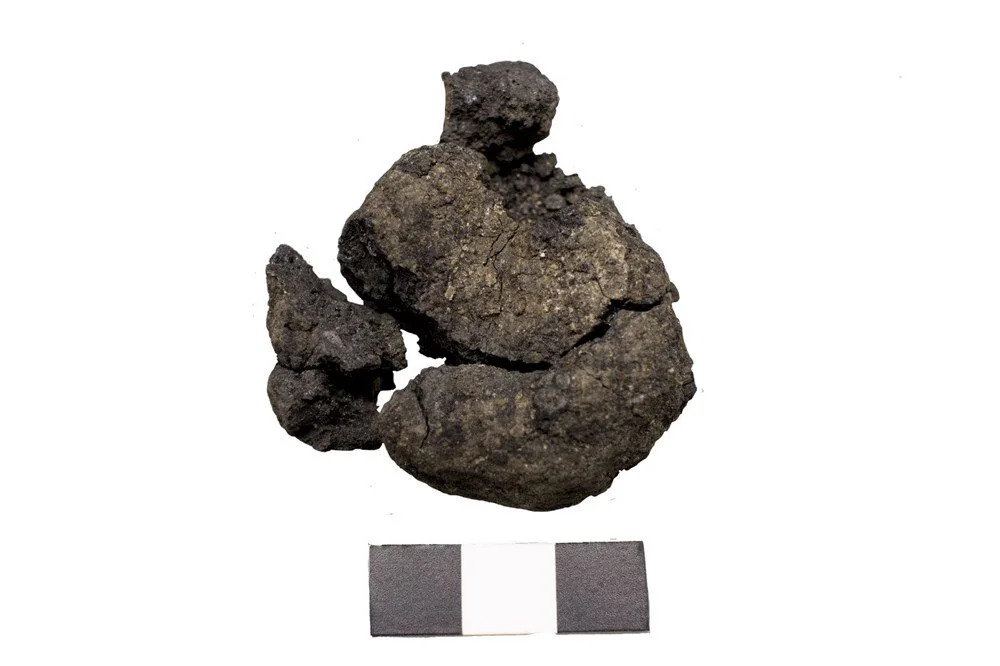 a blackened loaf of bread