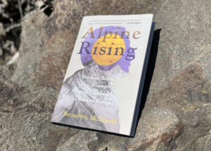 A copy of the book on a rock surface.