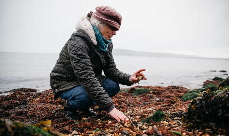 Heather Middleton looking for fossils on a beach near Weymouth.