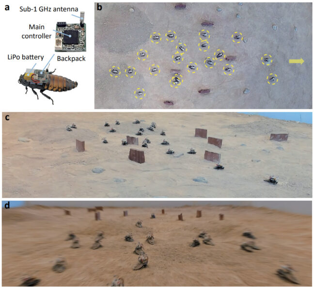 An overview of the the cyborg swarm navigation