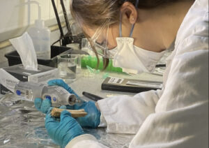 a researcher examining a tooth with a dremel tool