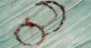 pictographs of supernova?