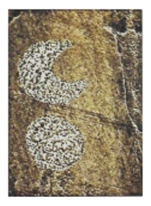 pictograph of crescent moon and circle
