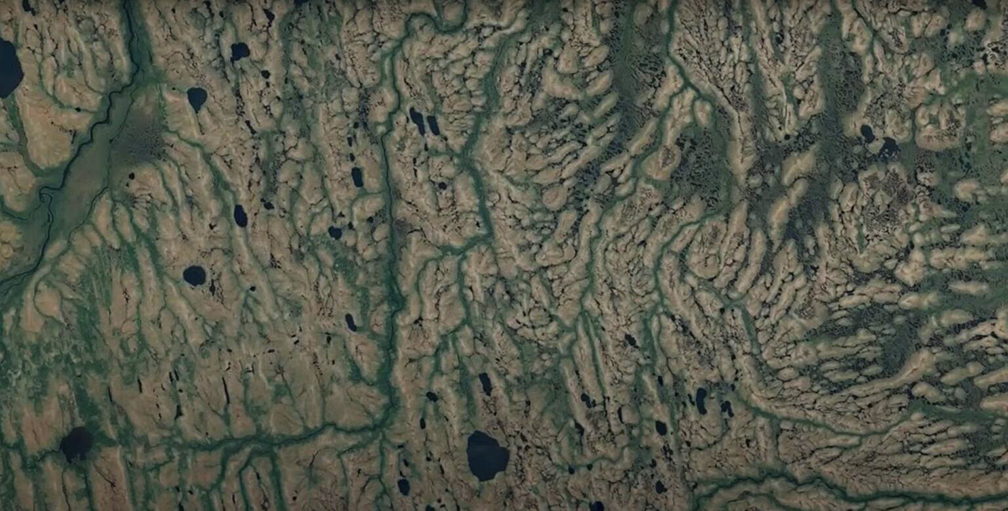 aerial of swamp