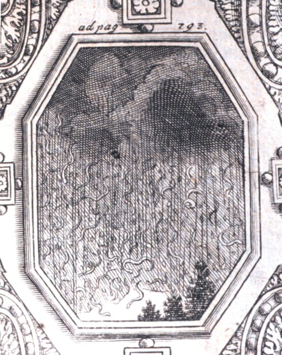 a snake rain illustration