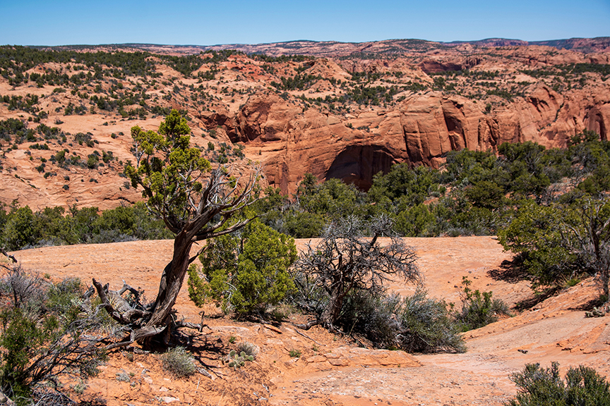 northern Arizona badland scenery