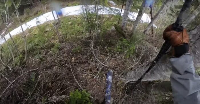 a POV of navigating a dense underbrush