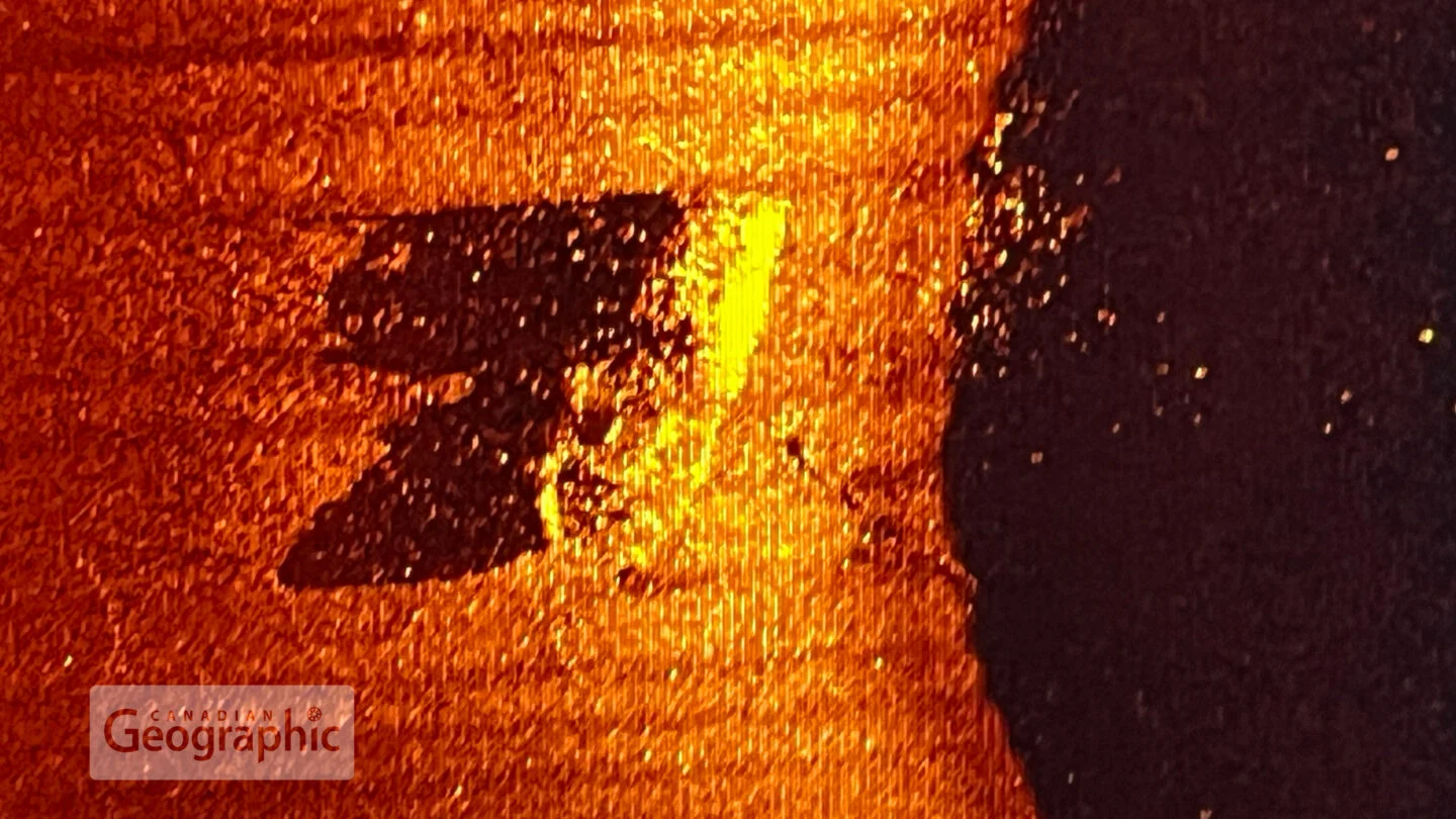 sonar image of Ernest Shackleton's last ship