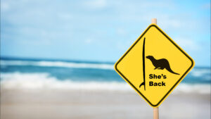 a sign at the beach with a surfboard and an otter. Text reads "she's back"