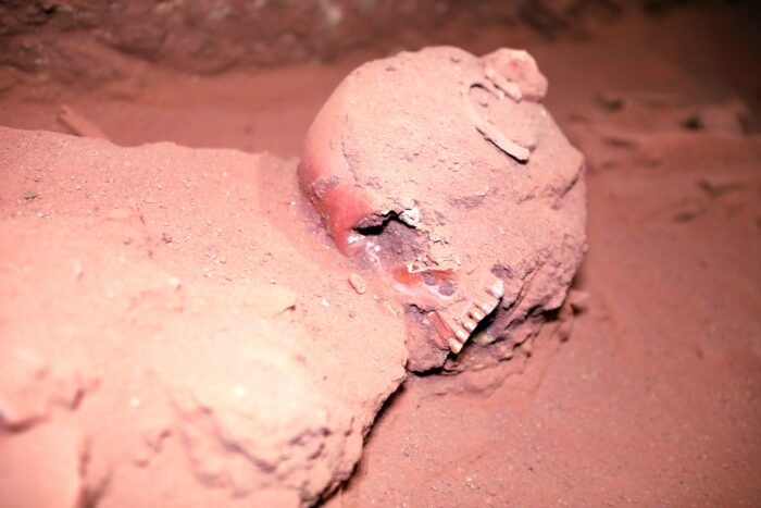 A human skull found beneath The Treasury in Petra.