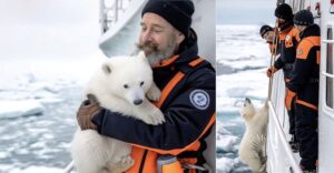 AI-generated photos of baby polar bear with sailors