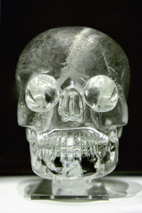 skull