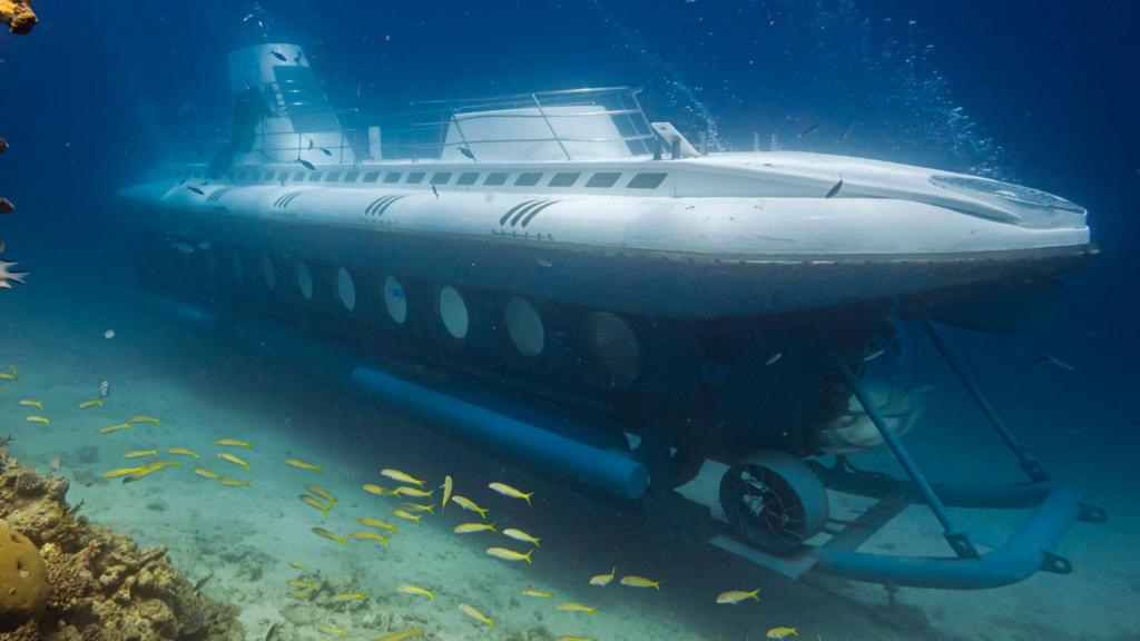 A submerged submarine with fish