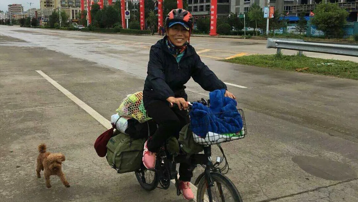A woman on a bike with a brown poodle next to her.