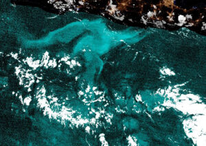 Glowing 'milky seas,' seen from a satellite.
