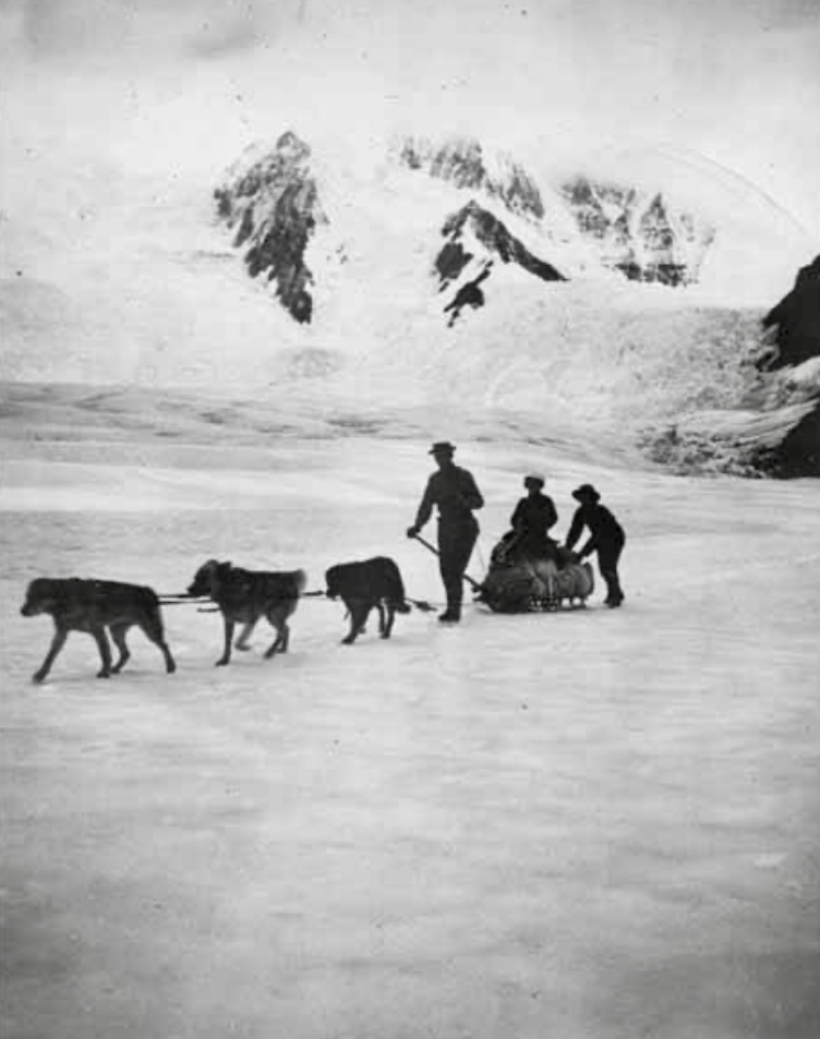 Dora Keen on dogsled near Base Camp of Mount Blackburn, in 1911. 