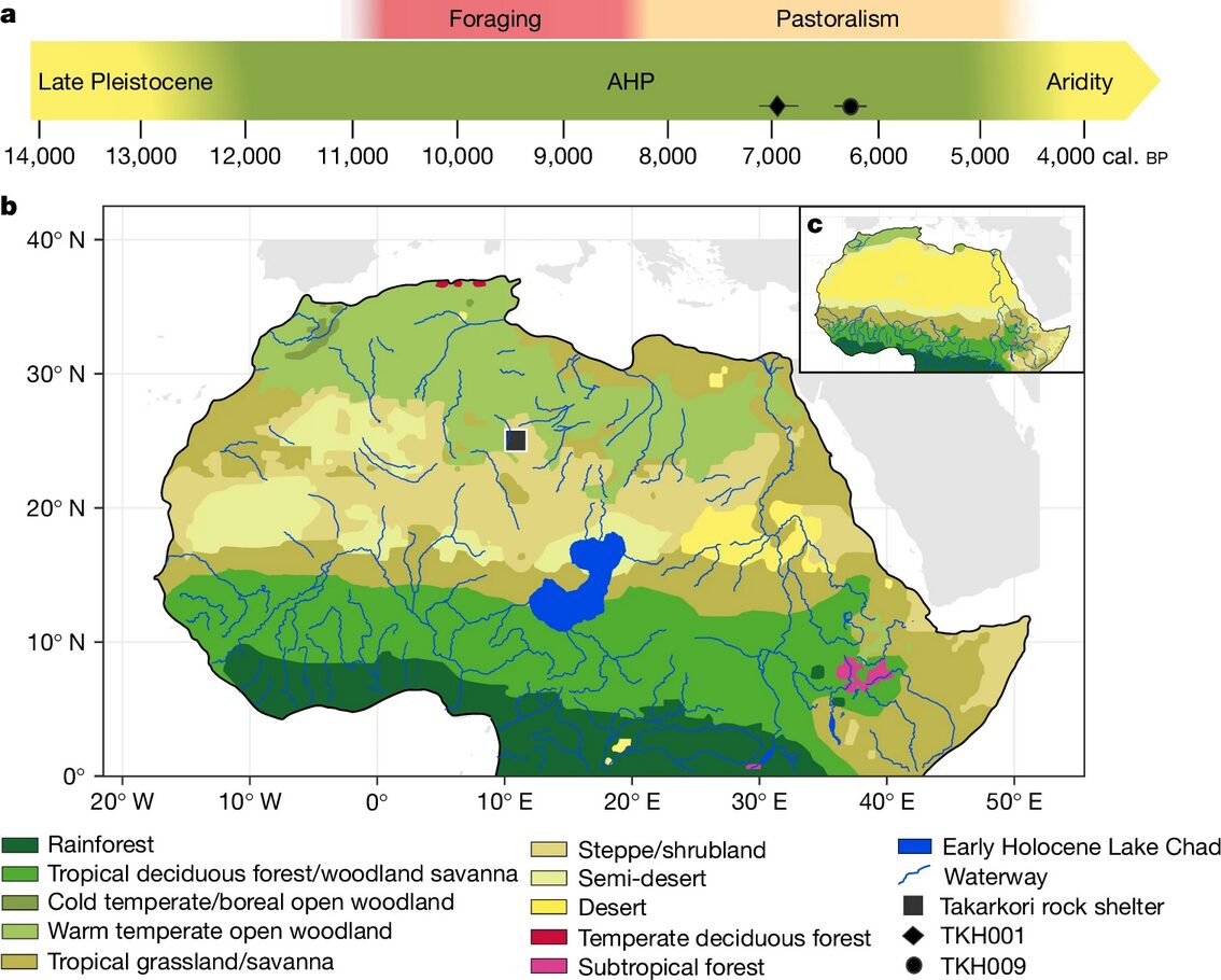 A diagram of Northern and Central Africa showing the ecological changes.