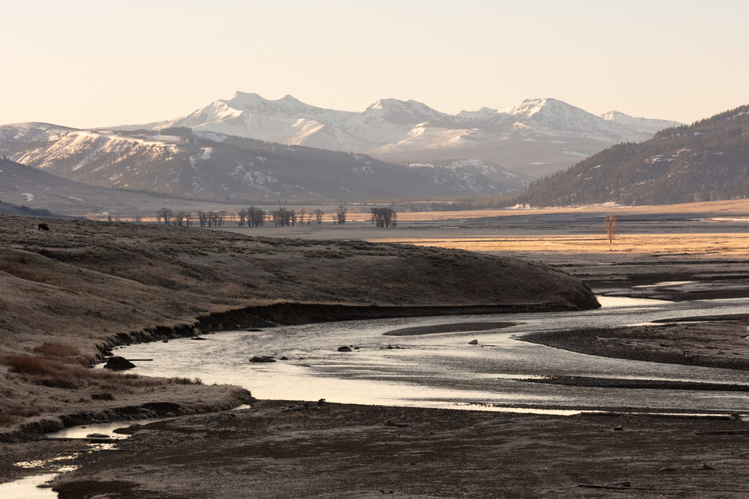A valley at sunrise, mountains in background and stream in fore.