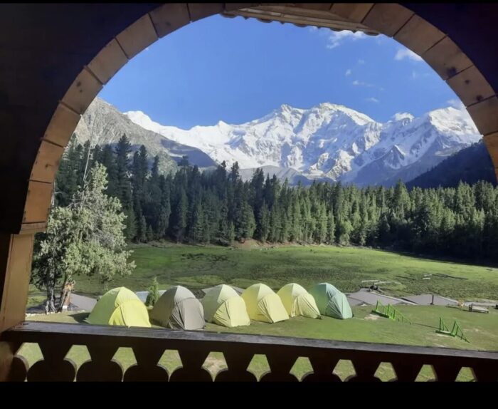 yellow tents in line on a green meadow surrounded by trees and Nanga Parbat in background.