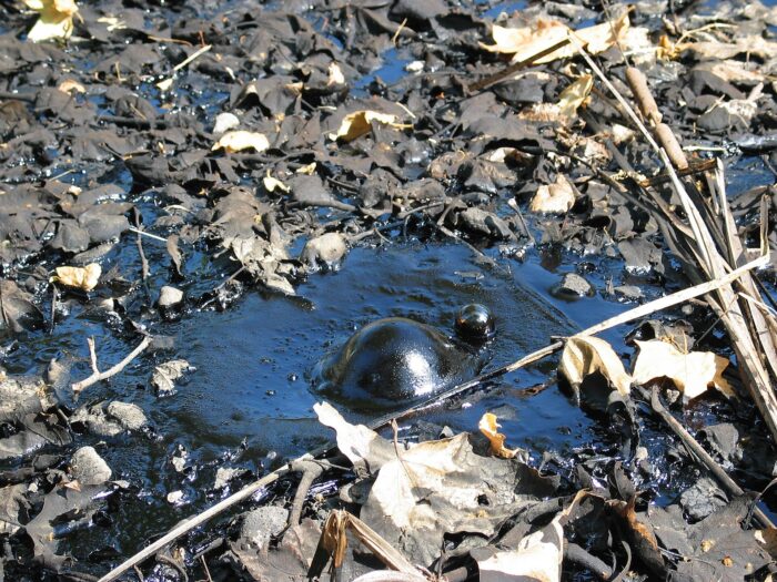 tar pit