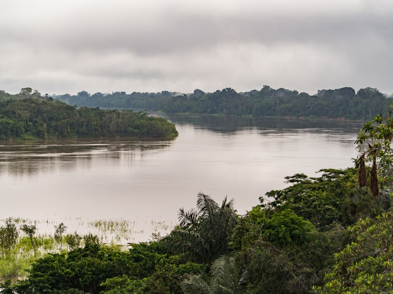 A river through the jungle