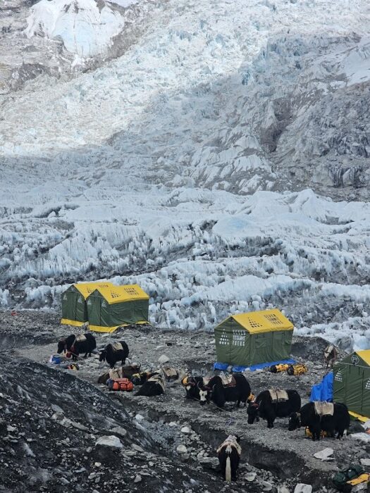 Tents at Everest Base Camp as seen from a higher place.