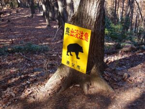 A sign on a tree wih Japanese text and a drawing of a bear