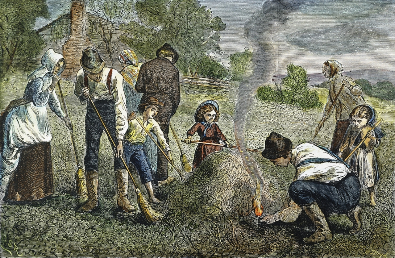 People burning a pile of insects