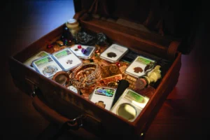 the treasure, inside a leather satchel