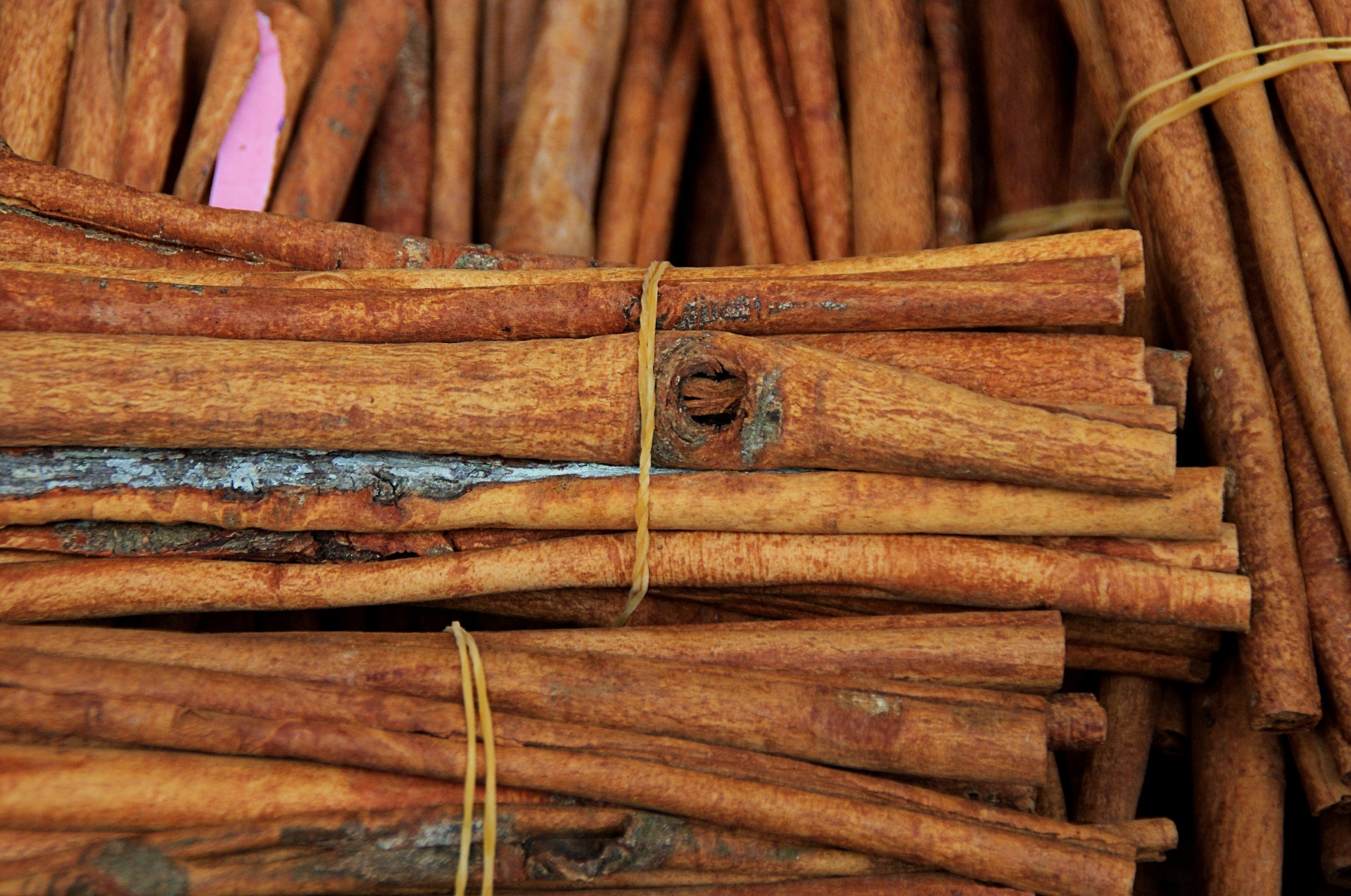 Bundles of cinnamon sticks