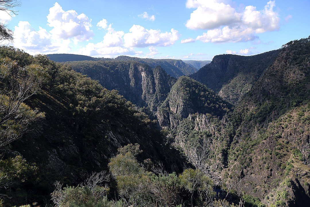 gorges and bush