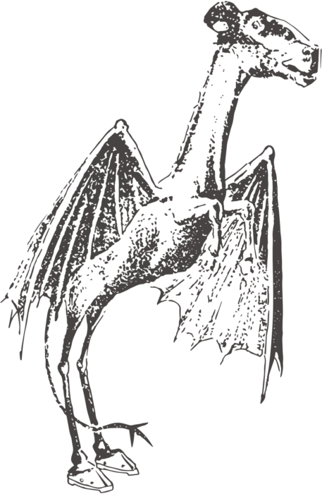 jersey devil drawing
