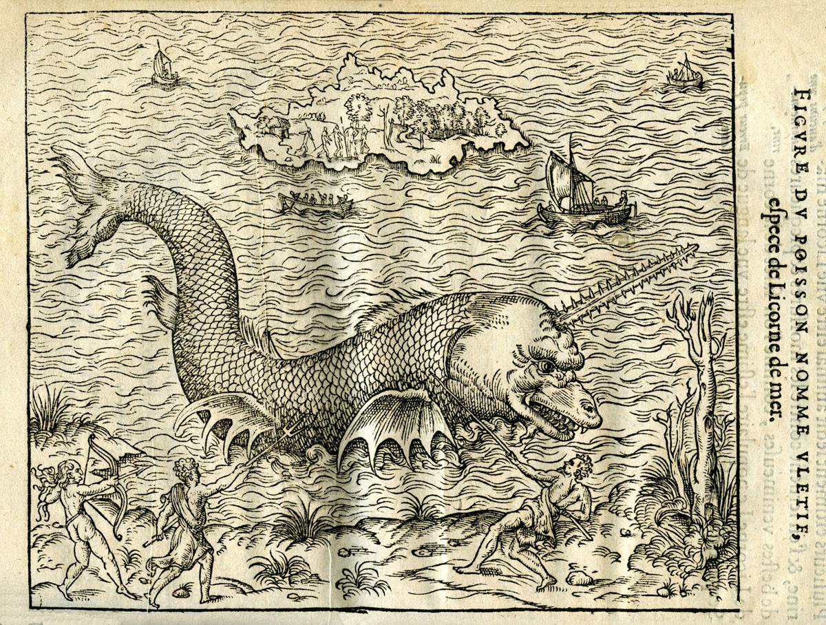 woodcut of a fish with a horn