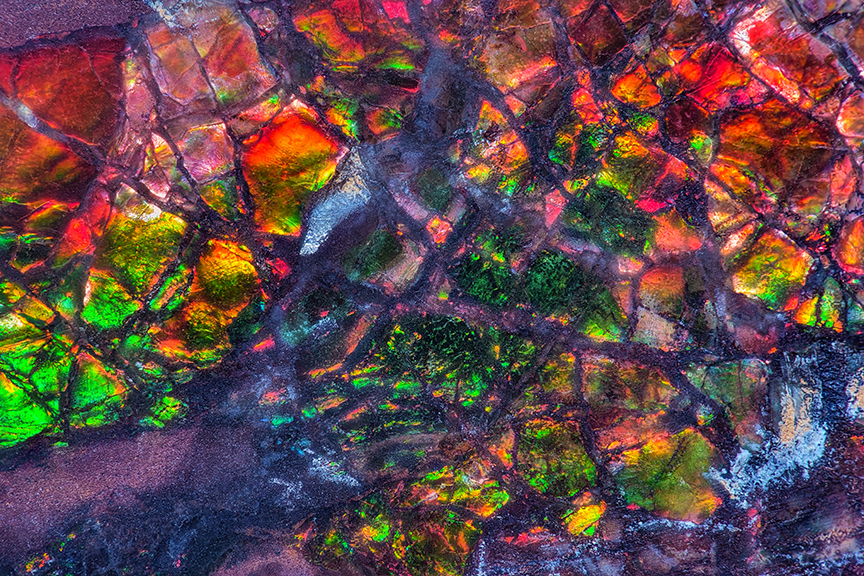ammolite mineral