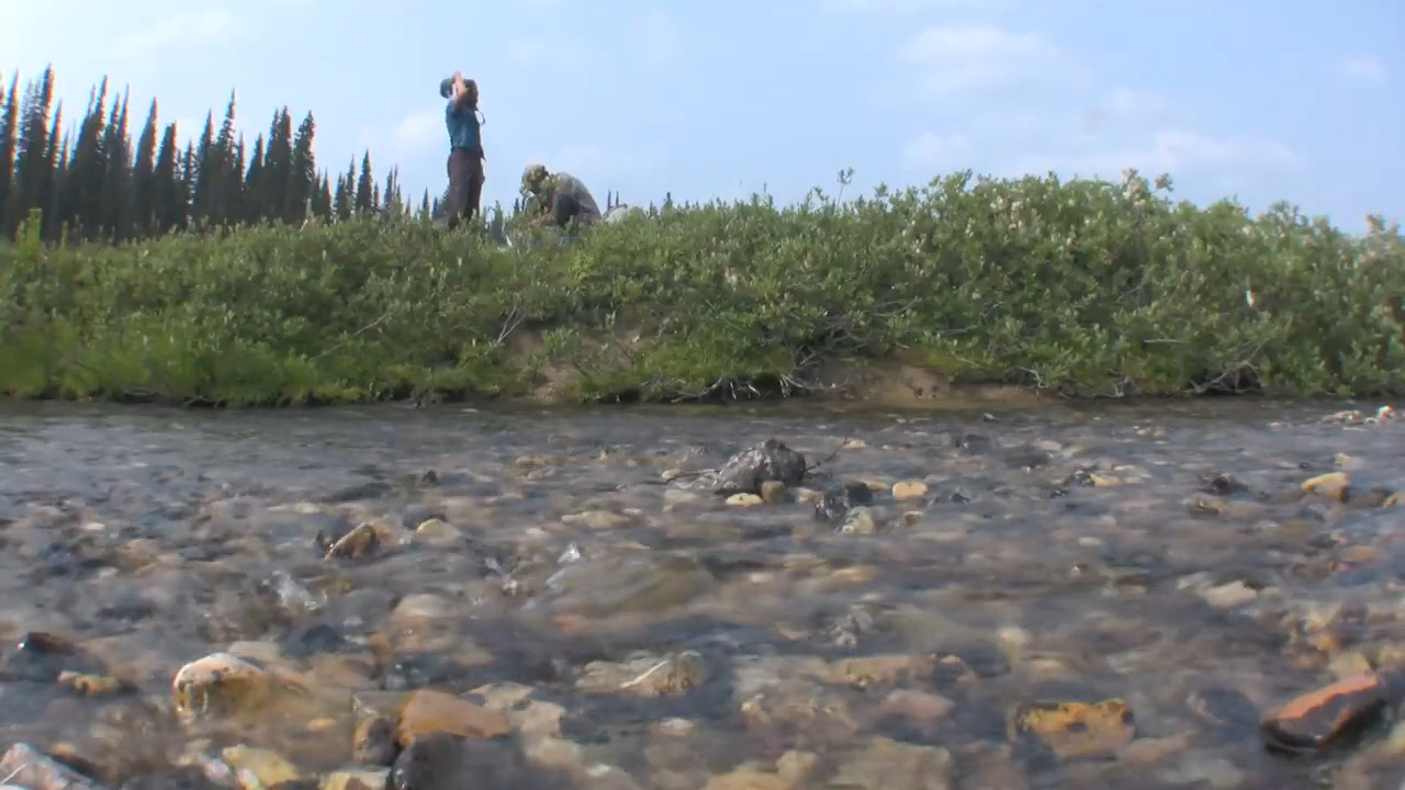 A mountain stream