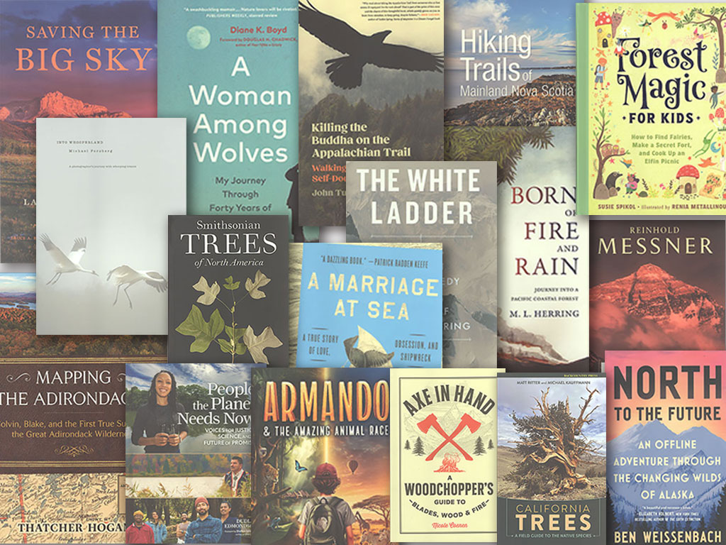 A collage of book covers