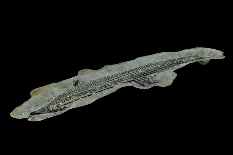 A 3D view of the thalamagos.