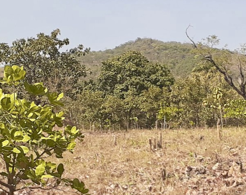 Mont Sokbaro.