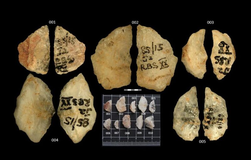 An image of the arrowheads analysed in the study.