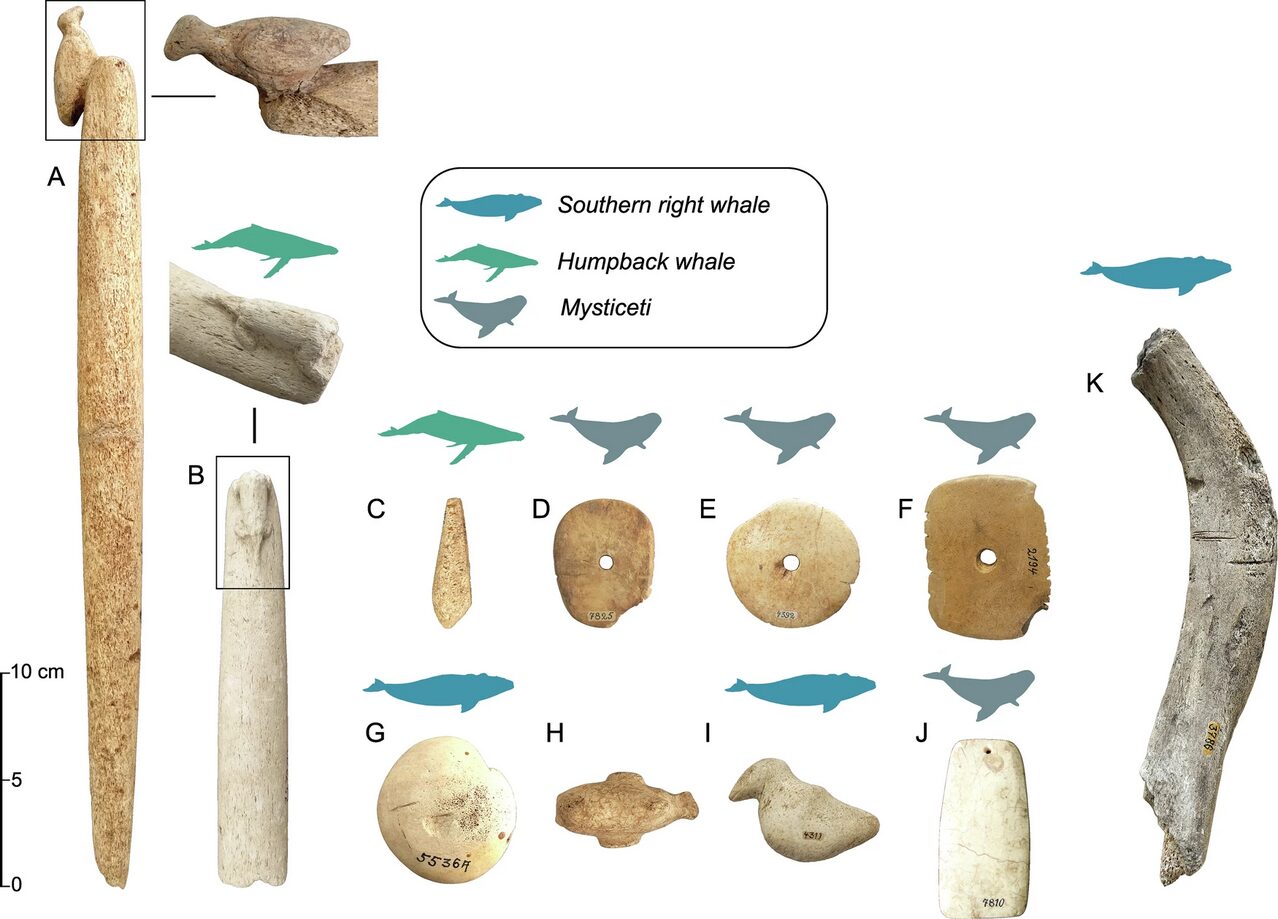 Whalebone items