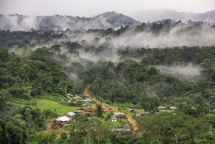 The village of Saul surrounded by dense rainforest