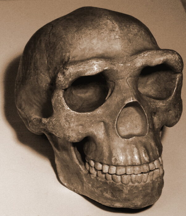 cast of the Peking Man