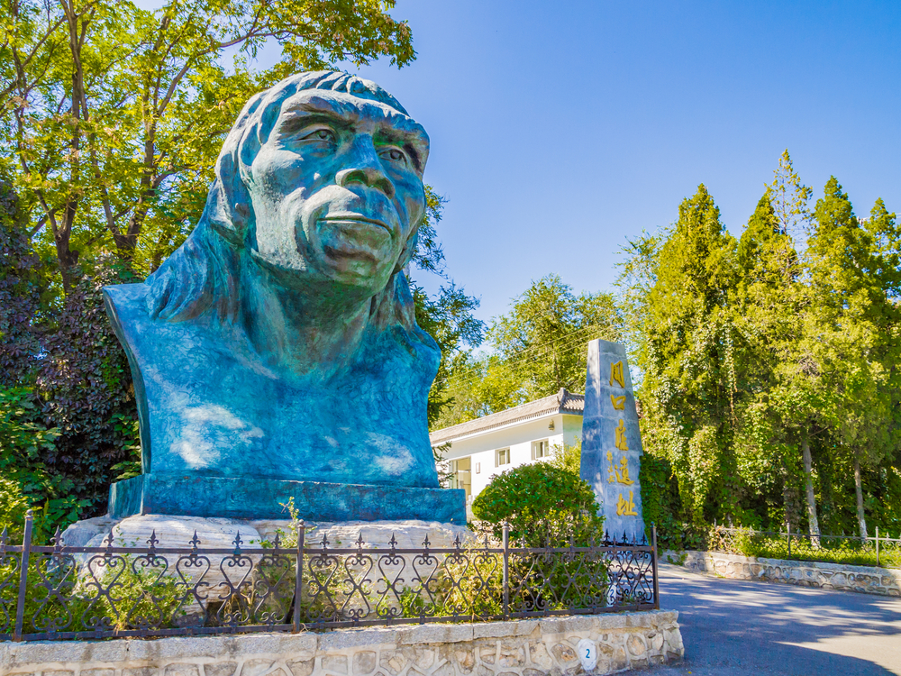 Peking Man