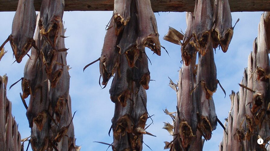 stockfish drying