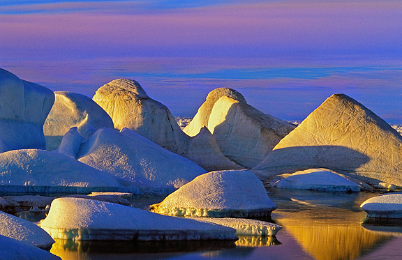 multiyear sea ice