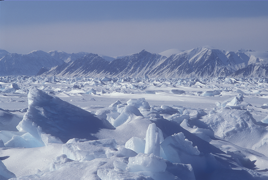 frozen fiord