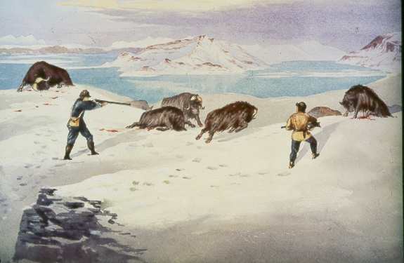 watercolor of shooting muskoen