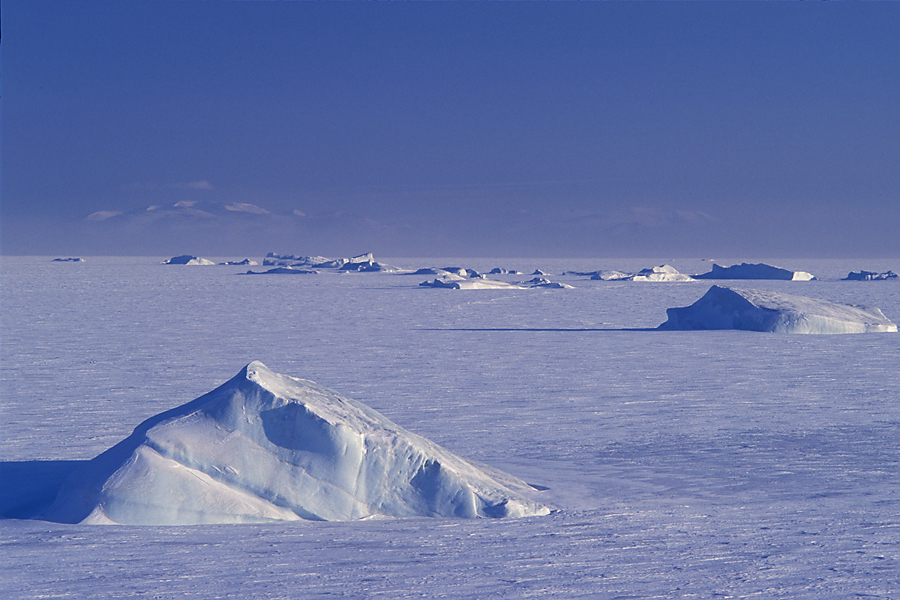 icebergs frozen in