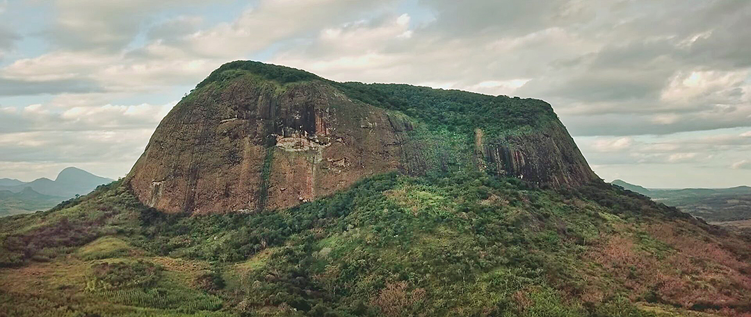 a forest on a mesa