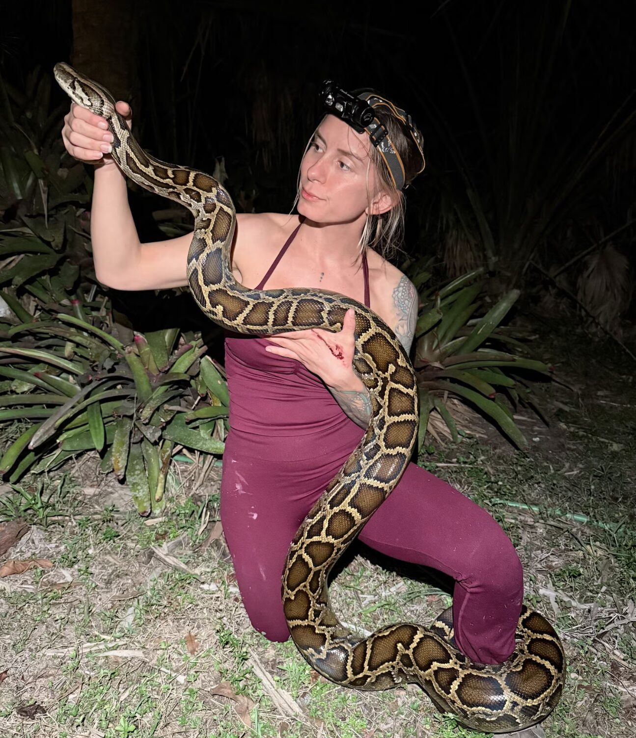 Taylor Stanberry kneels on the ground holding a huge python at the Python Challenge, where she caught 60 Burmese pythons.